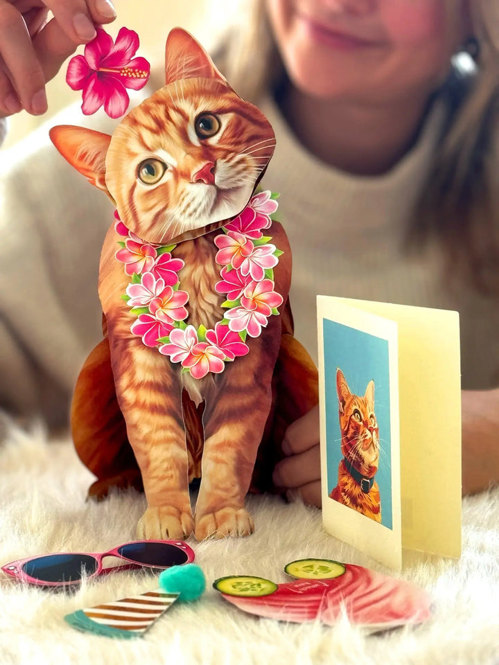 Orange Tabby Pop-Up Cat with  accessories