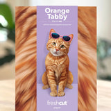 Freshcut paper Orange Tabby Cat pop-up card packaging