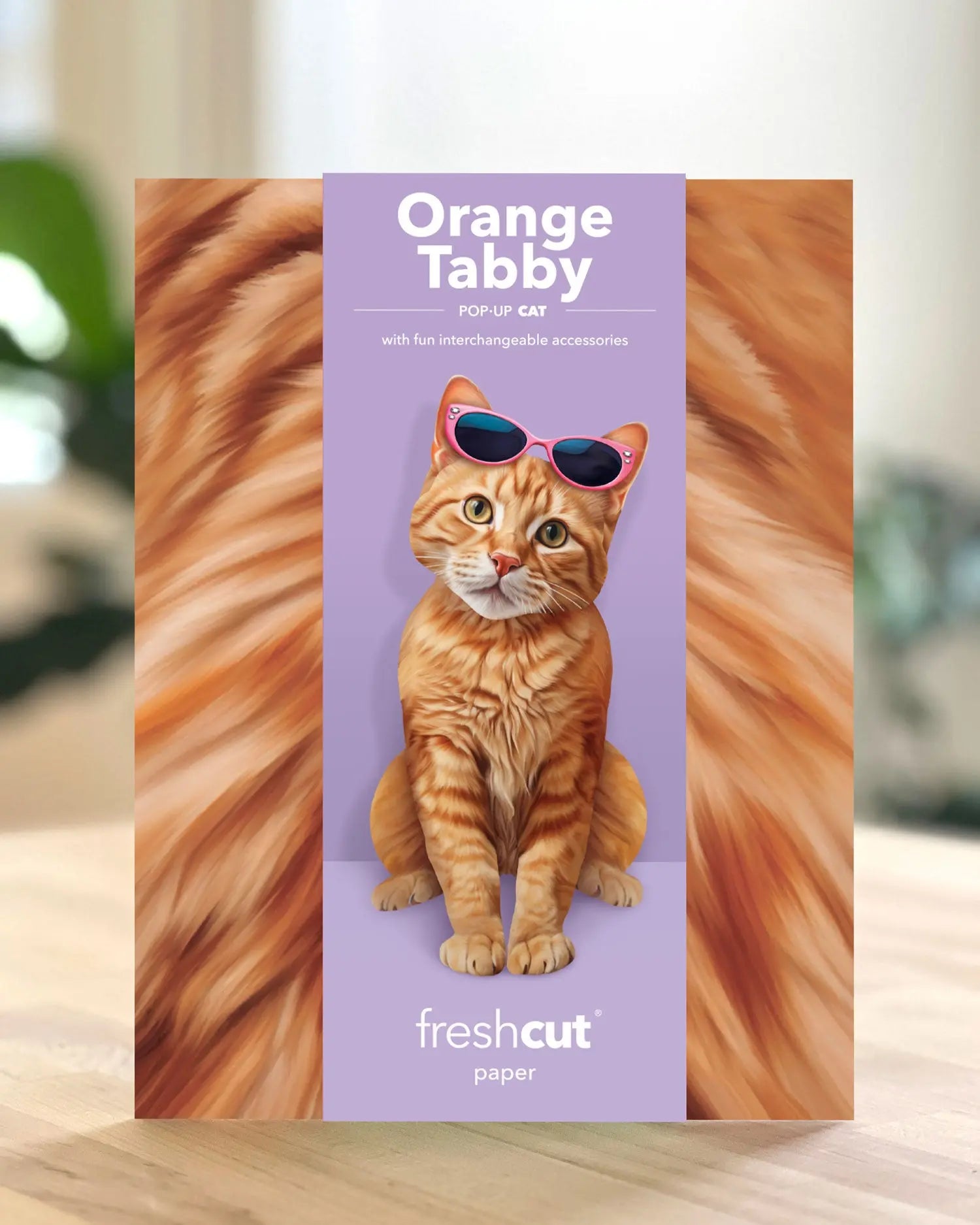 Freshcut paper Orange Tabby Cat pop-up card packaging