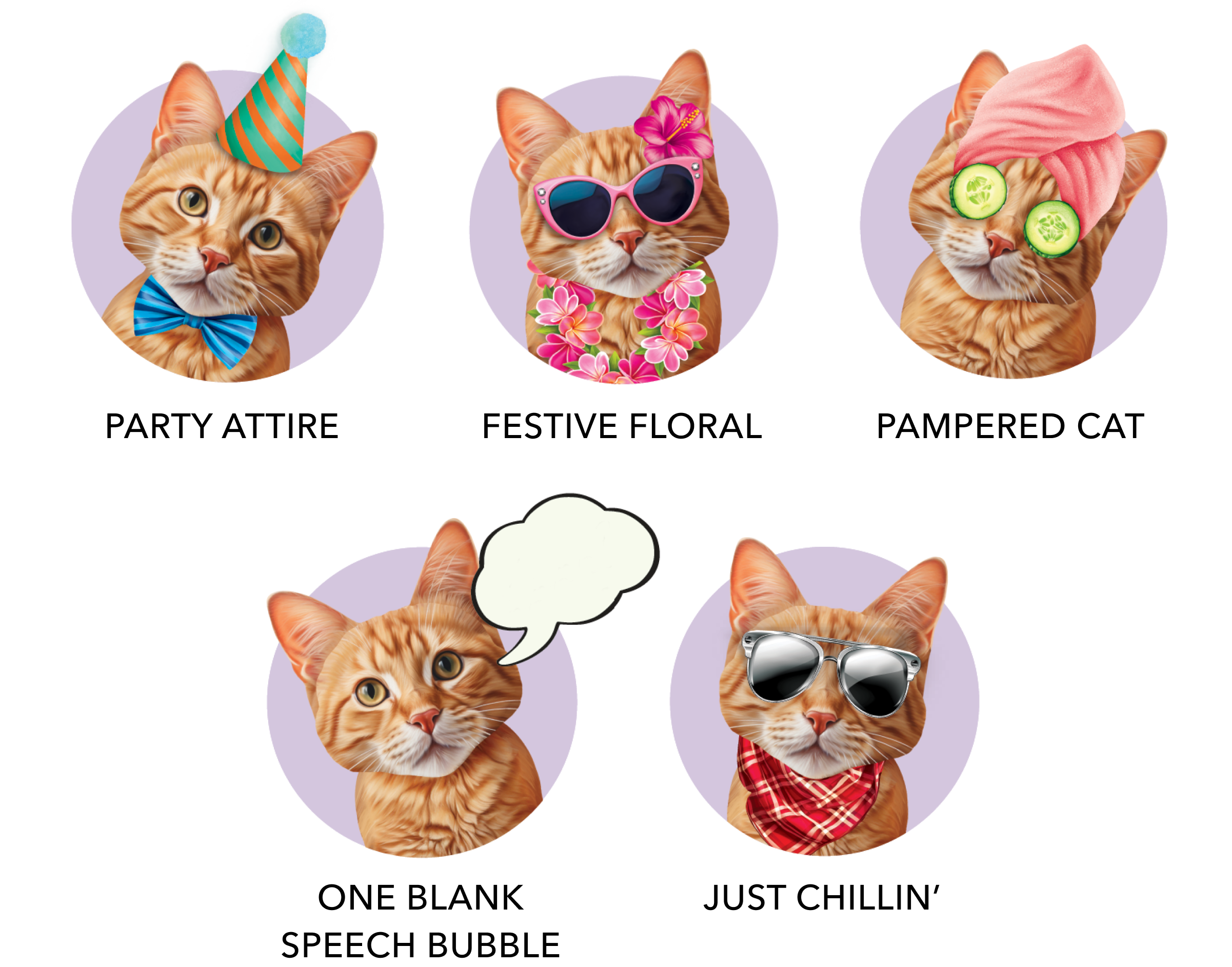 Pop-Up Orange Tabby Cat - Adorable Paper Pets by FreshCut