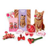 Valentine's Day Orange Tabby Cat Pop-Up Card