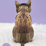 Back of Brown Tabby Pop-Up Cat 