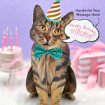 Brown Tabby Pop-Up Cat with birthday accessories