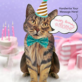 Brown Tabby Pop-Up Cat with birthday accessories