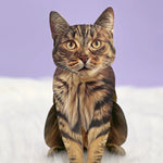 Brown Tabby Pop-Up Cat