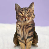 Brown Tabby Pop-Up Cat