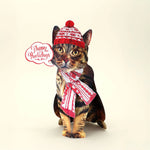Holiday Cat Bundle FreshCut Paper
