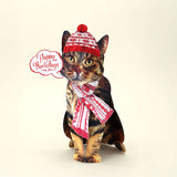 Holiday Cat Bundle FreshCut Paper