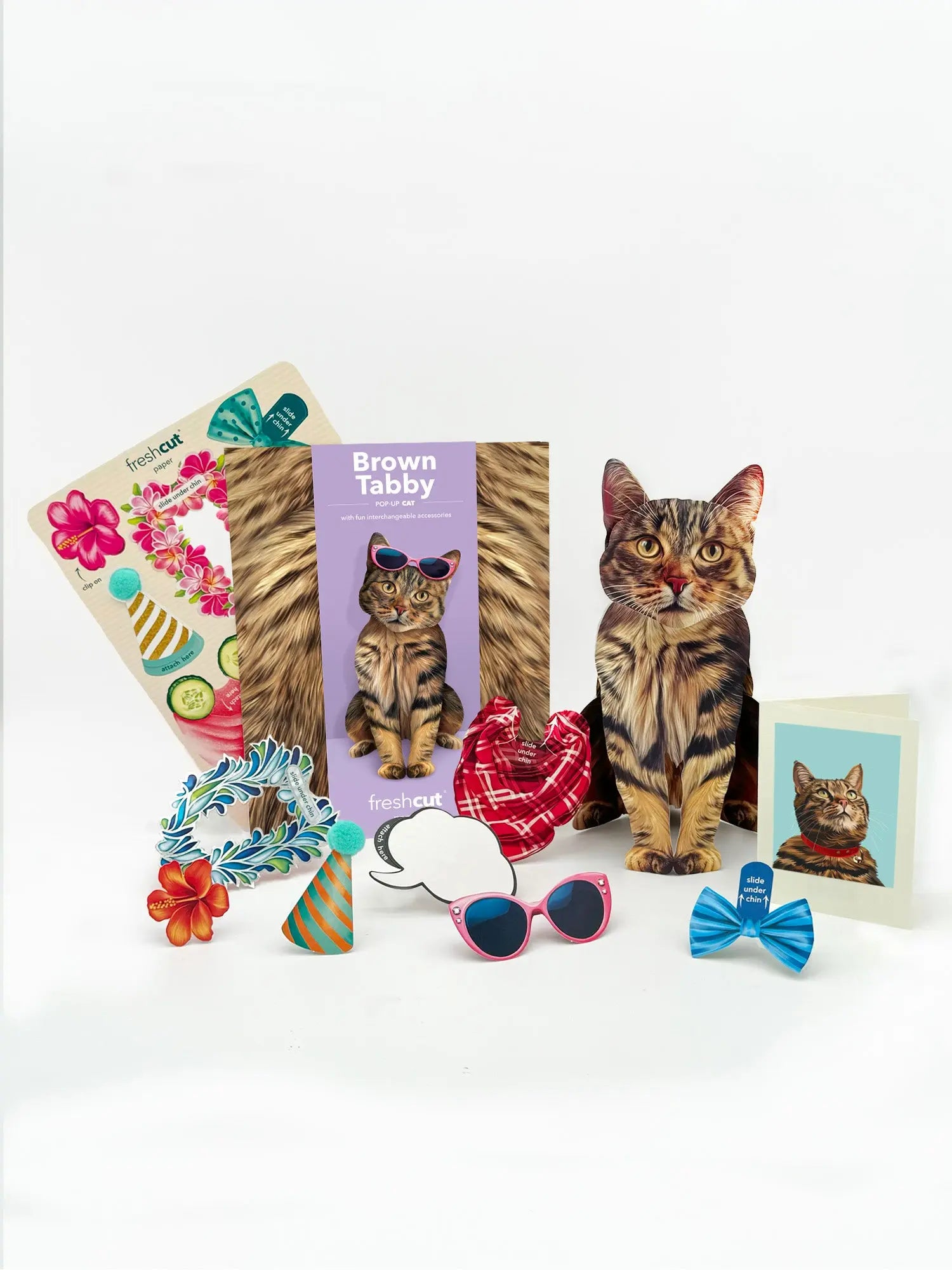 Brown Tabby Pop-Up Cat with accessories