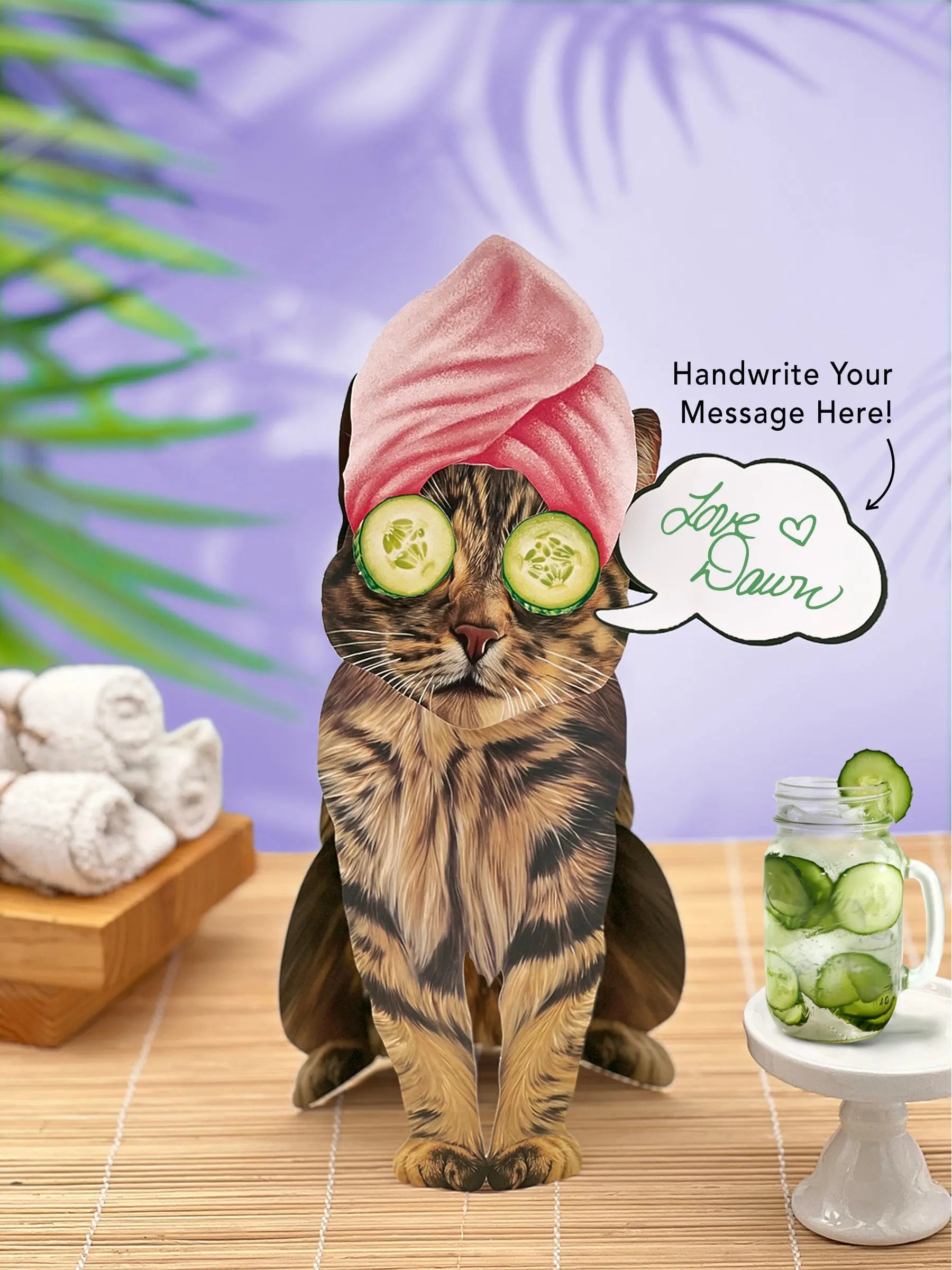 Brown Tabby Pop-Up Cat with spa accessories