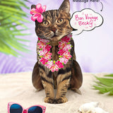 Brown Tabby Pop-Up Cat with vacation accessories