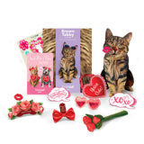 Valentine's Day Brown Tabby Cat Pop-Up Card