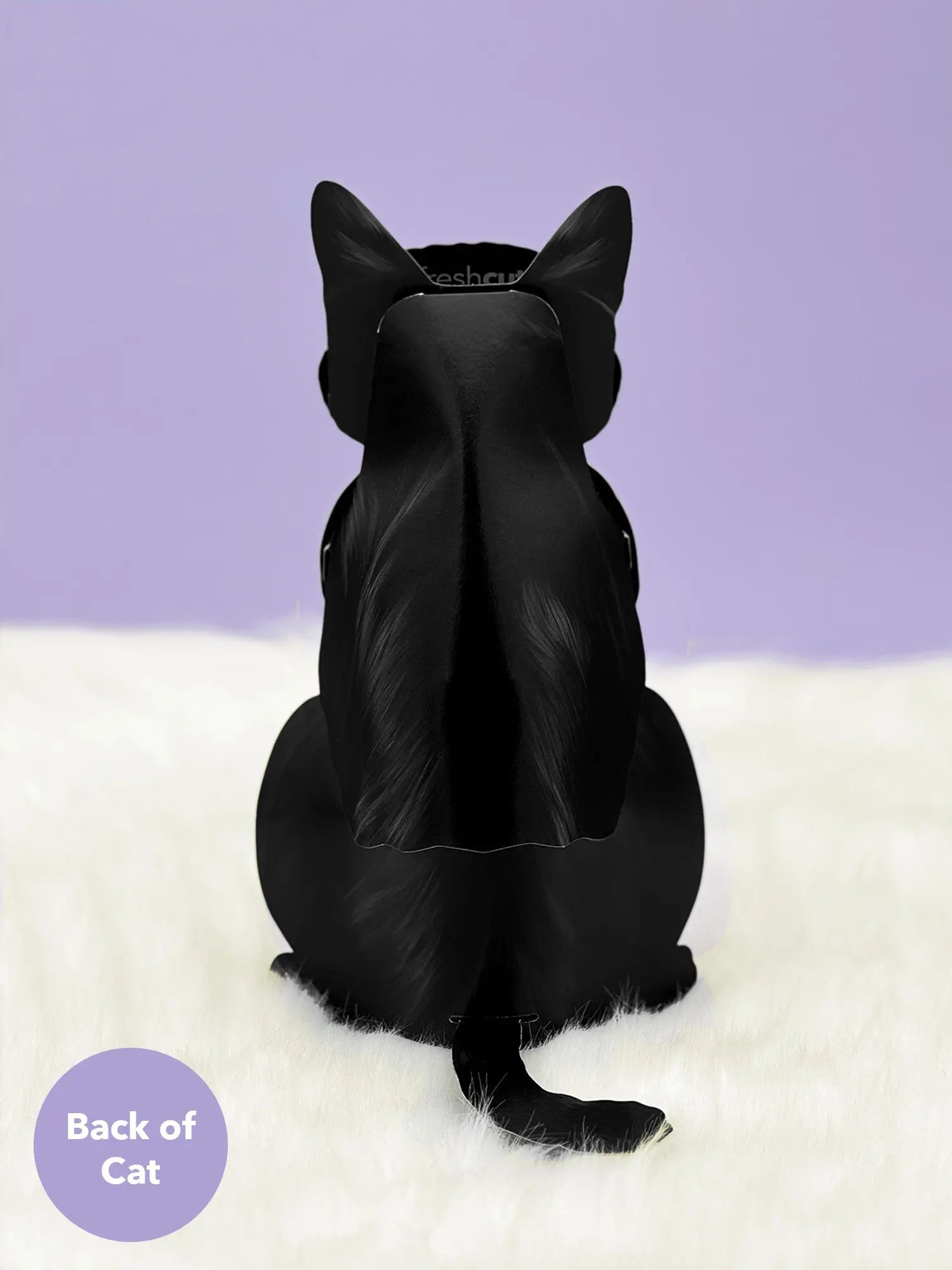 Back of Black Pop-Up Cat