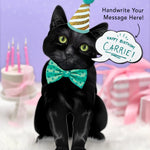 Black Pop-Up Cat with birthday accessories