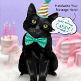 Black Pop-Up Cat with birthday accessories