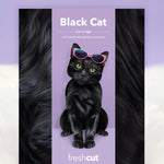 Black Pop-Up Cat envelope