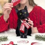 Holiday Black Cat Pop-Up Card FreshCut Paper