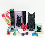 Black Pop-Up Cat with accessories and notecard