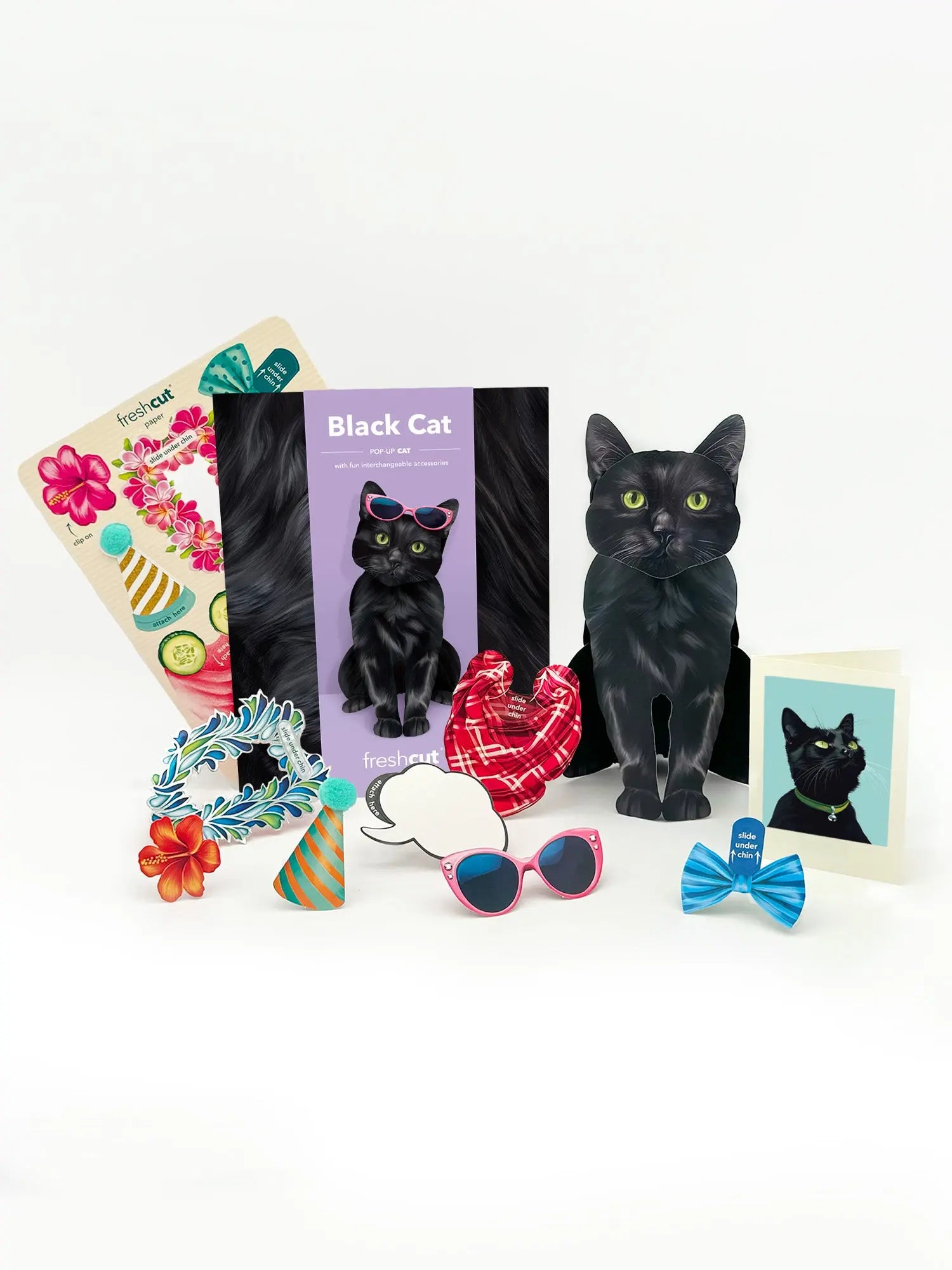 Black Pop-Up Cat with accessories and notecard