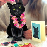 Black Pop-Up Cat with accessories