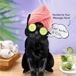 Black Pop-Up Cat with spa accessories
