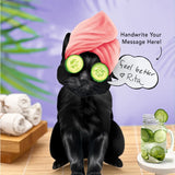 Black Pop-Up Cat with spa accessories