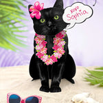 Black Pop-Up Cat with vacation accessories