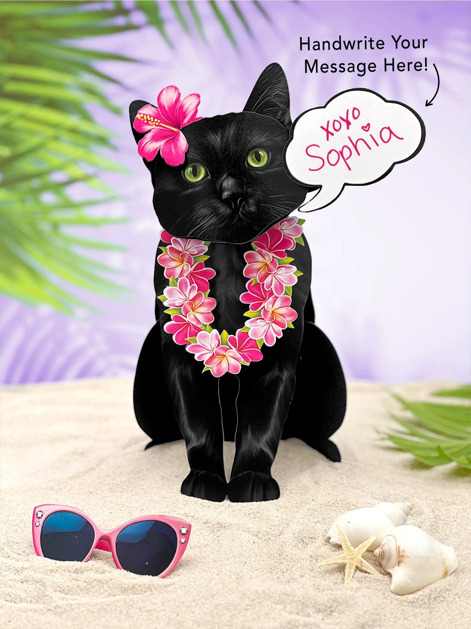 Black Pop-Up Cat with vacation accessories