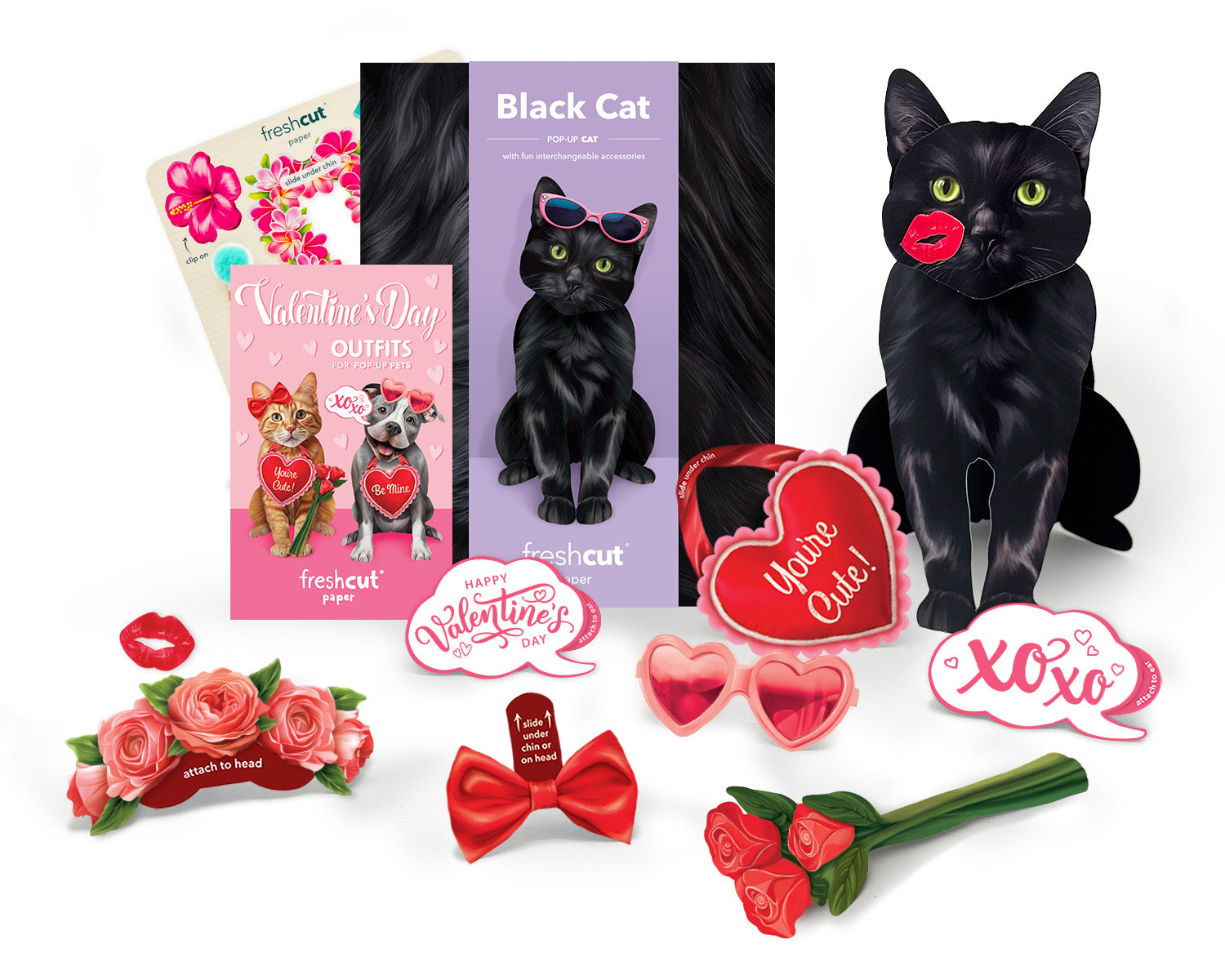 Valentine's Day Black Cat Pop-Up Card