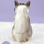 Back of Ragdoll Pop-Up Cat