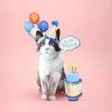 Birthday Ragdoll Cat Pop-Up Card FreshCut Paper