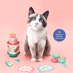 Birthday Ragdoll Cat Pop-Up Card FreshCut Paper