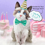 Ragdoll Pop-Up Cat with birthday accessories