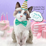 Ragdoll Pop-Up Cat with birthday accessories