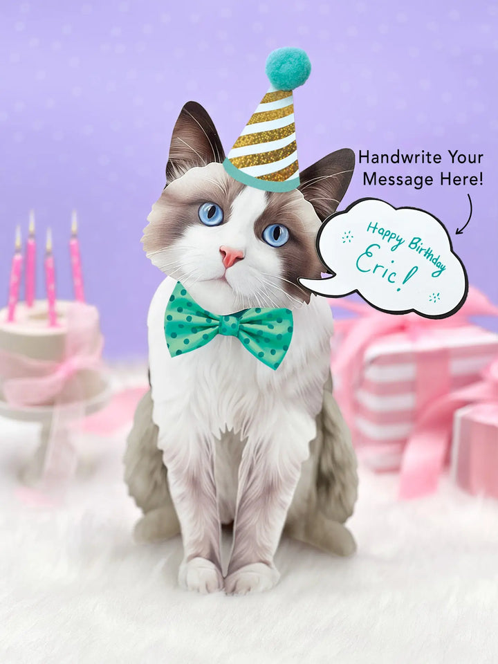 Ragdoll Pop-Up Cat with birthday accessories