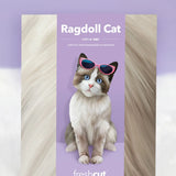 Ragdoll Pop-Up Cat envelope