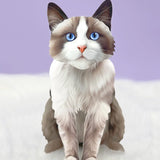 Ragdoll Pop-Up Cat