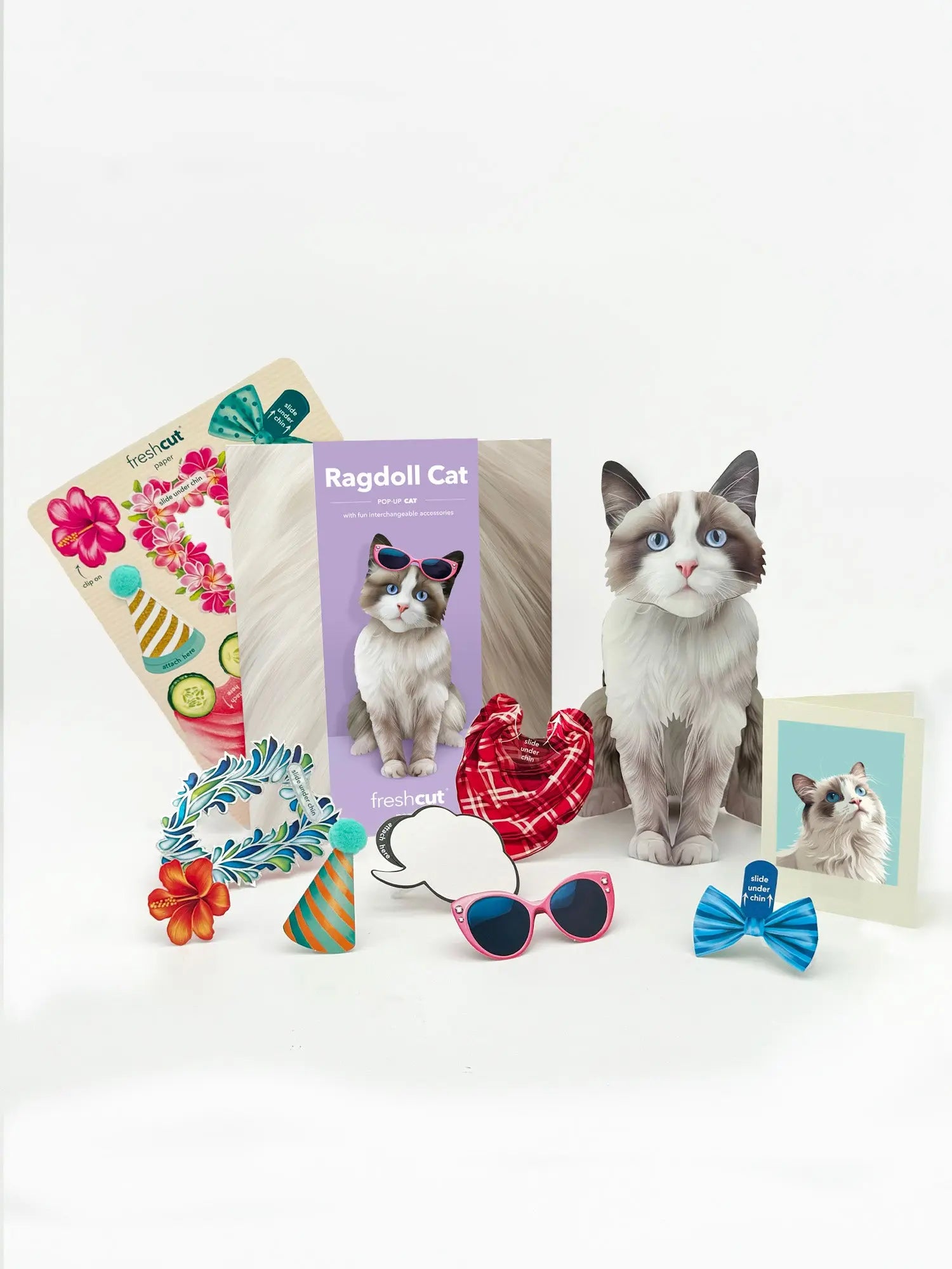Ragdoll Pop-Up Cat with notecard and accessories