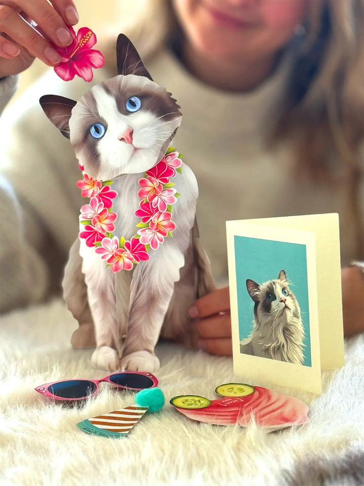 Ragdoll Pop-Up Cat with accessories