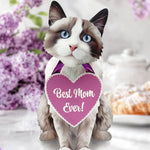 Mother's Day Ragdoll Cat Pop-Up Card - FreshCut Paper