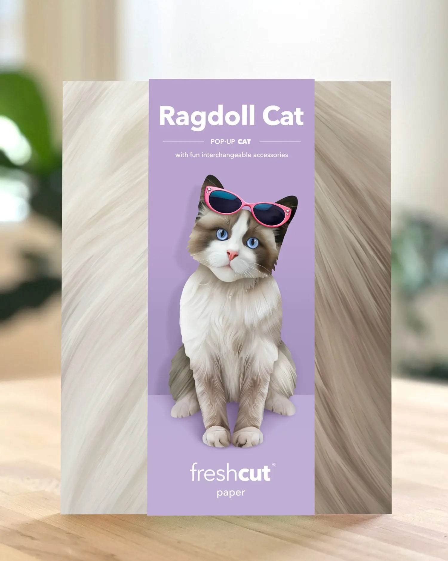 Freshcut paper Ragdoll cat pop-up card packaging