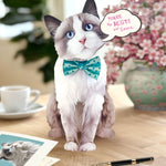 Freshcut paper Ragdoll cat pop-up card on desk