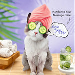 Ragdoll Pop-Up Cat with spa accessories
