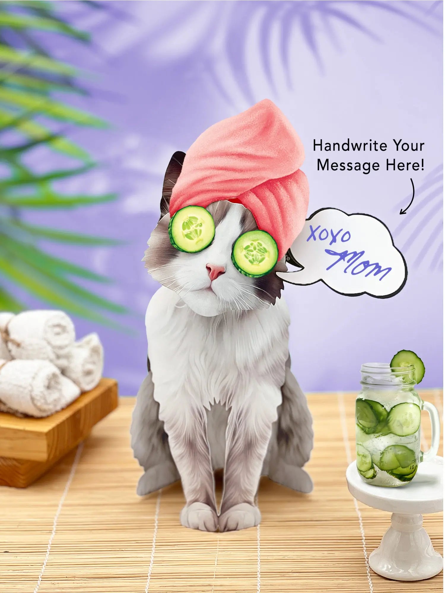 Ragdoll Pop-Up Cat with spa accessories