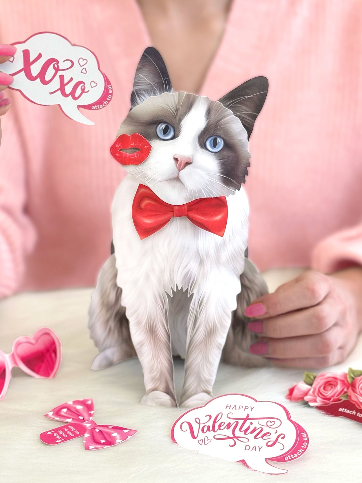 Valentine's Day Ragdoll Cat Pop-Up Card