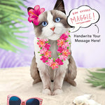 Ragdoll Pop-Up Cat with vacation accessories