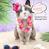 Ragdoll Pop-Up Cat with vacation accessories