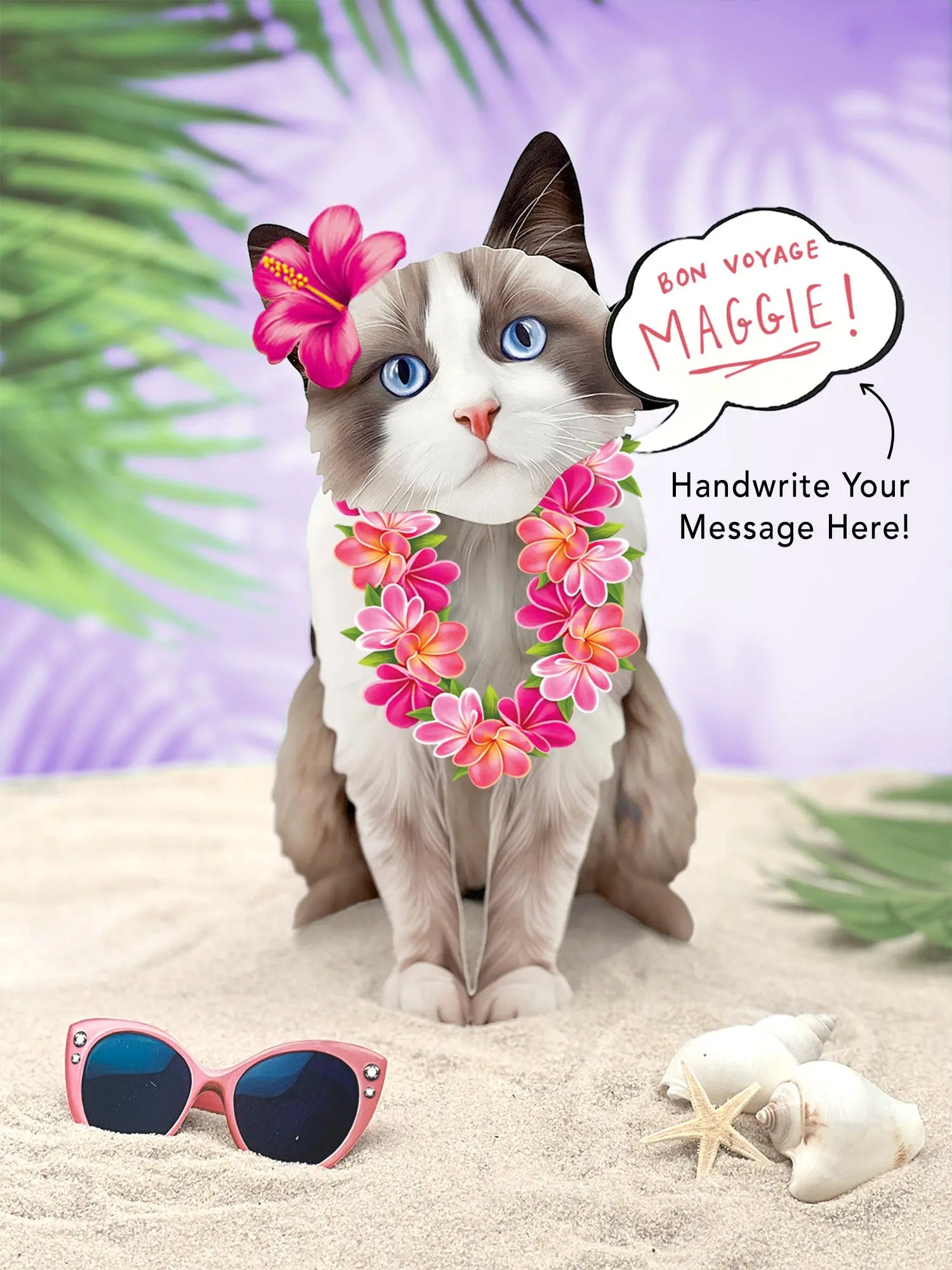 Ragdoll Pop-Up Cat with vacation accessories