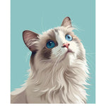 Ragdoll Cat Card - FreshCut Paper