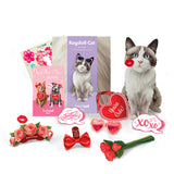 Valentine's Day Ragdoll Cat Pop-Up Card